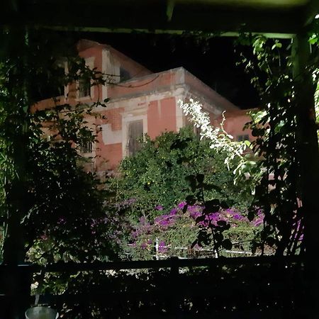 Avgi Garden House Chania With Private Entrance Ngoại thất bức ảnh